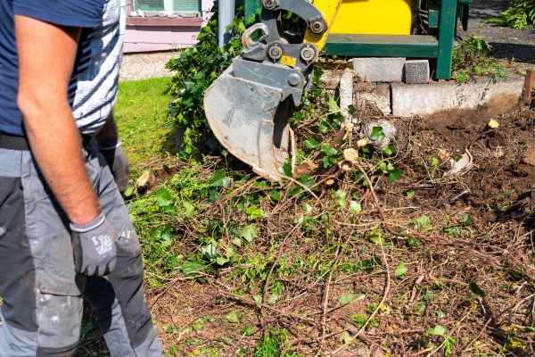 Hedge Removal Service in Sparks