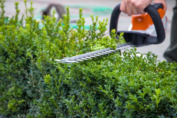 Hedge Shearing in Sparks