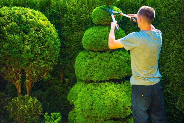 Topiary Shaping in Sparks