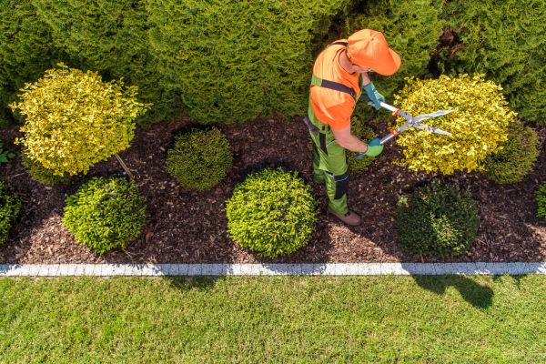 Topiary Trimming in Sparks