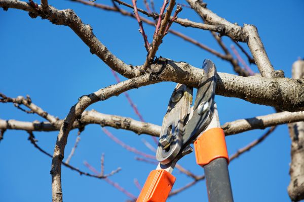 Selective Pruning in Sparks