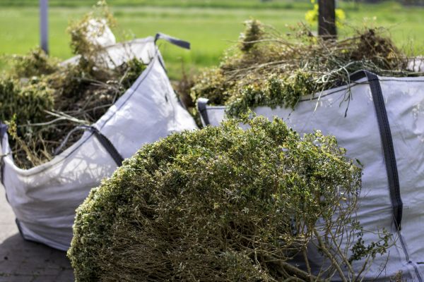 Shrubs Removal in Sparks