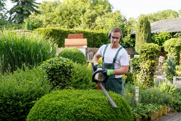 Shrubs Trimming in Sparks
