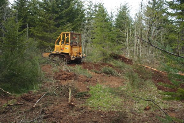 Shrubbery Clearing in Sparks